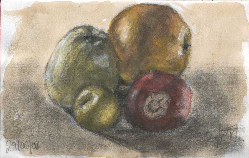 frutas carboncillo acuarela