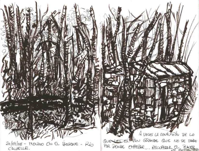 Bosque, tinta pincel