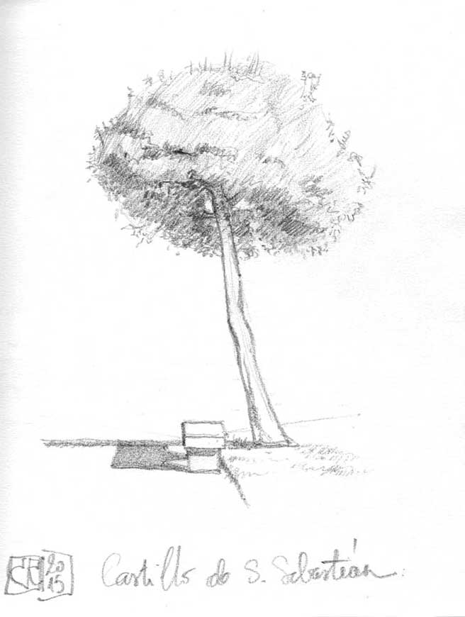 Árbol, grafito