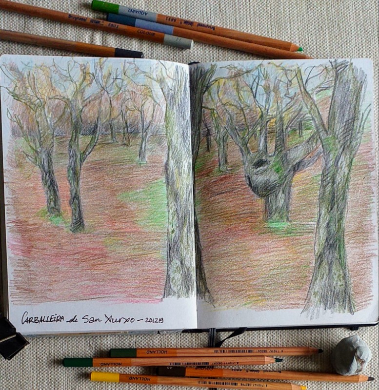 urban sketching carballeira