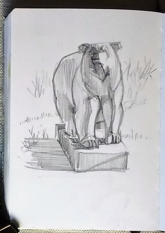 Dibujo oso polar, grafito