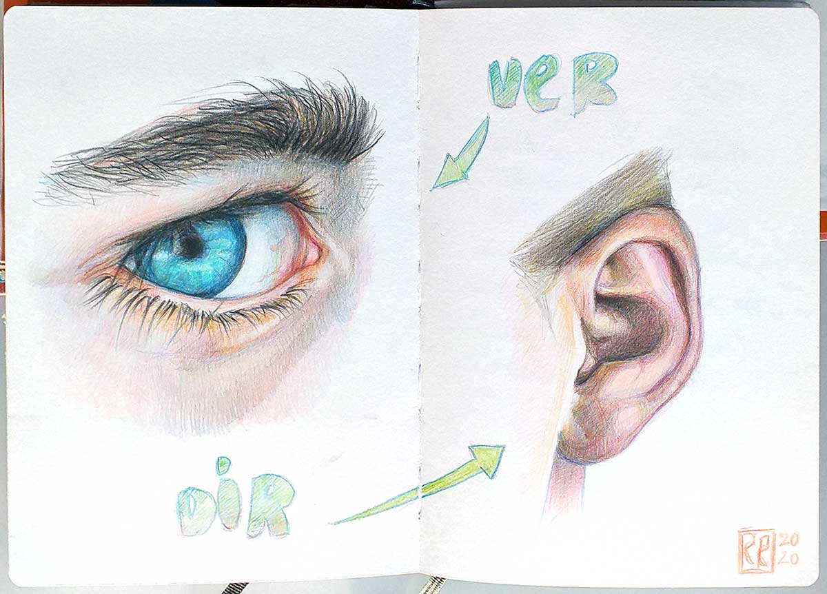 Ojo y oreja, lápices de color